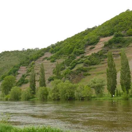 Weingut Tosta *
