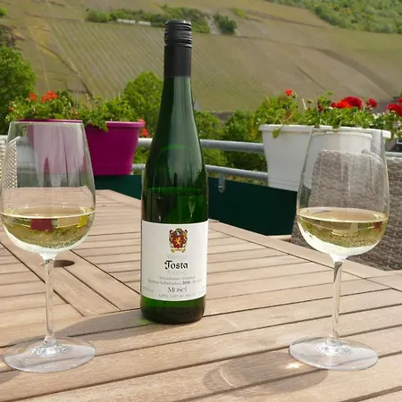 Apartment Weingut Tosta *