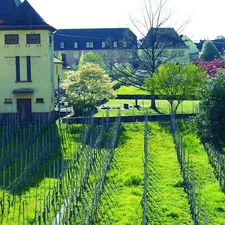Weingut Tosta *