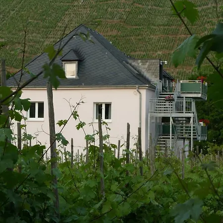 Weingut Tosta Apartment