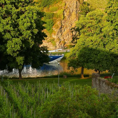 Weingut Tosta Apartment Trittenheim
