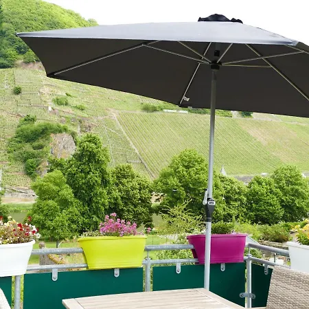 Weingut Tosta * Trittenheim