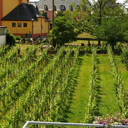 Apartment Weingut Tosta *